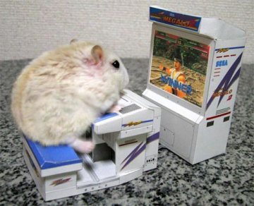 File:Hamstergame.jpg