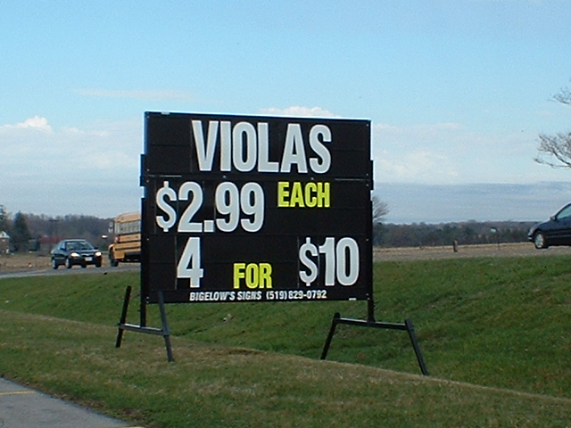 File:Viola sale.jpg
