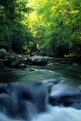 File:Southeastern rivers streams 55412 18939.jpg