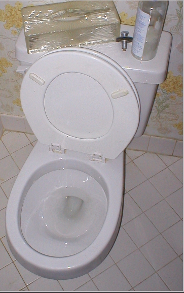 File:Toilet 370x580.jpg