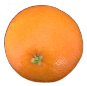 File:Orangee.jpg