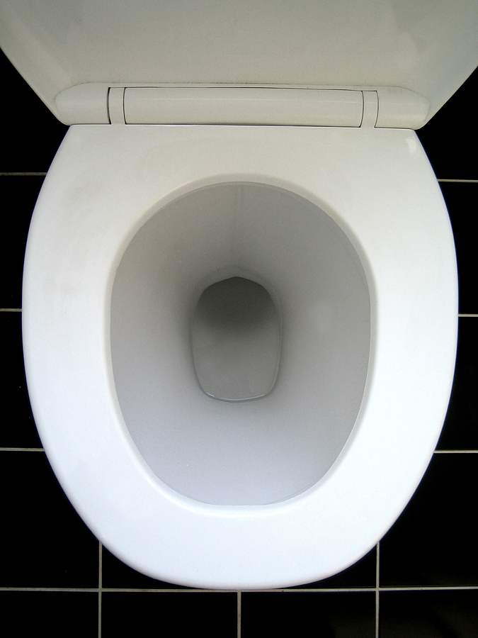 Toiletbowl.jpg