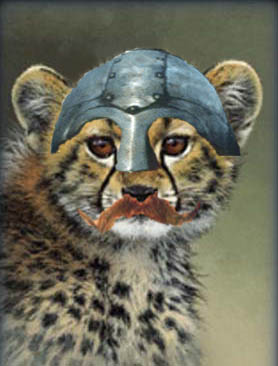 File:Viking cheetah.jpg