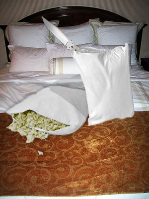 File:Pillow-fighting-results.jpg