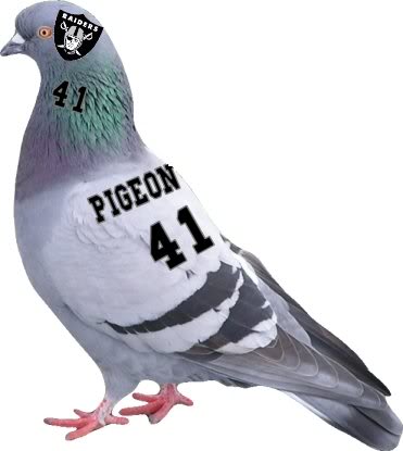 File:Raider-Pigeon.jpg