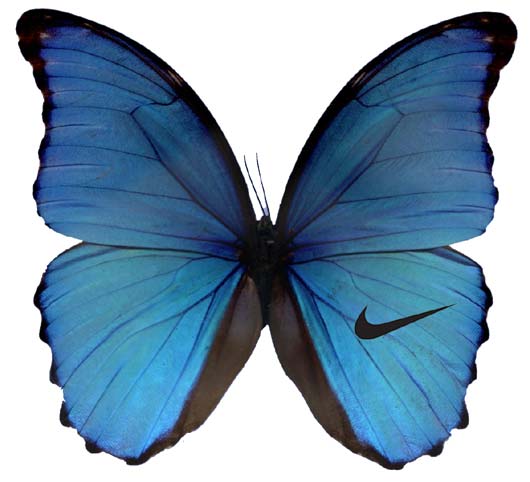 File:Butterfly logo by koert van mensvoort.jpg