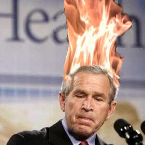 File:Bush Burning.jpg
