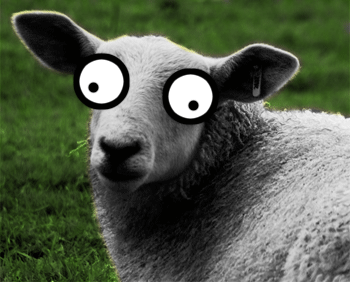 File:Sheep-silly-eye.gif