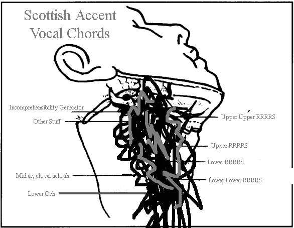 File:Vocal Chords Scottish.gif