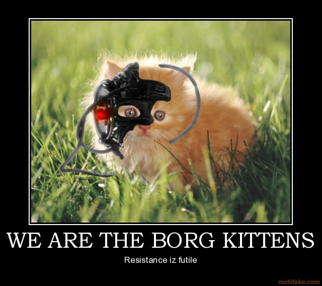 File:We-are-the-borg-kittens.jpg