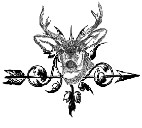 File:ArrowStag.PNG