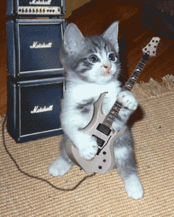 A pussy that plays the guitar?!how ridiculous!