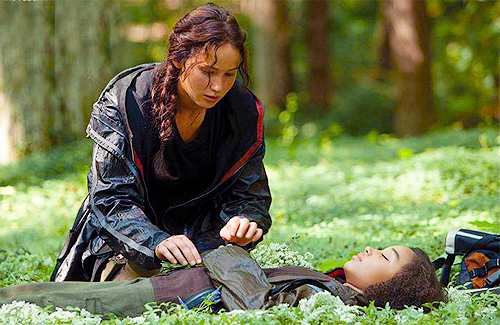 File:THG-stills-the-hunger-games-movie-29947816-500-325.png