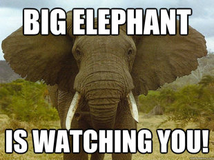 File:Big elephant is watching you!.jpg
