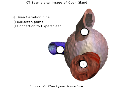 Oven gland.png