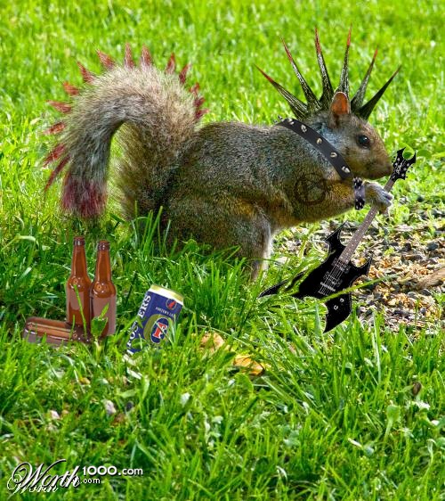 File:Punk squirrel.jpg