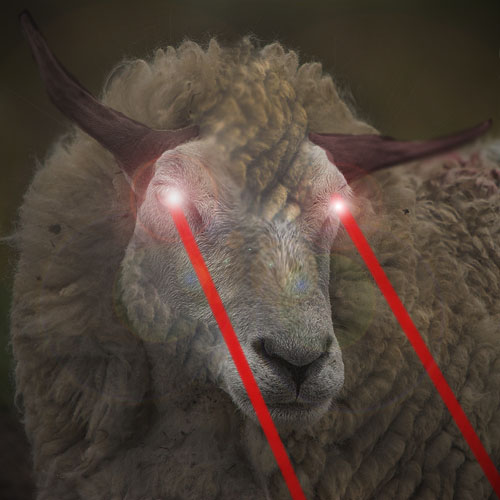 File:Evil demon sheep.jpg