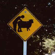 File:Redneck Pedestrian Crossing Sign.jpg