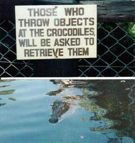 File:Rocks crocodiles.jpg