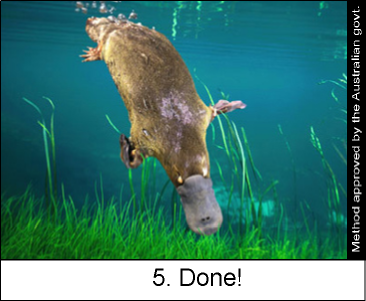 File:Platypus otter 5.png