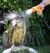 And-not-a-single-fuck-was-given-that-day-owl.jpg
