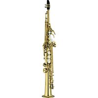 Soprano saxophone instrument.jpg