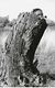 Greeting-cards-hide-and-seek-441.jpg