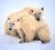Polar.Bears.jpg