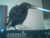 Crow Smoking.png