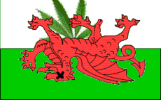 Welshflag.png