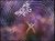 Prehistoric spiderweb.jpg