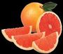 Grapefruit.jpg
