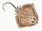 Illustration from The Natural History of British Fishes (1802) by Edward Donovan, digitally enhanced by rawpixel-com 19.jpg