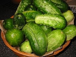 800px-PicklingCucumbers.jpg