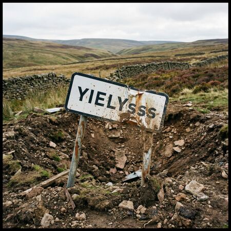YIELYsss.jpg