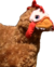 Chester The Chicken.png