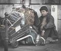 Poverty homeless french man shopping trolley.jpg