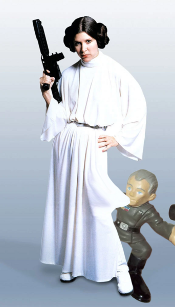 File:Tarkin eats leia cape.png