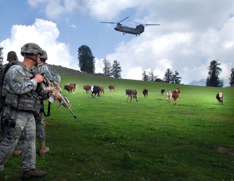 File:US soldiers with cows in Kunar Povince of Afghanistan.jpg