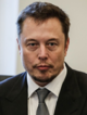 Elon musk portrait.png