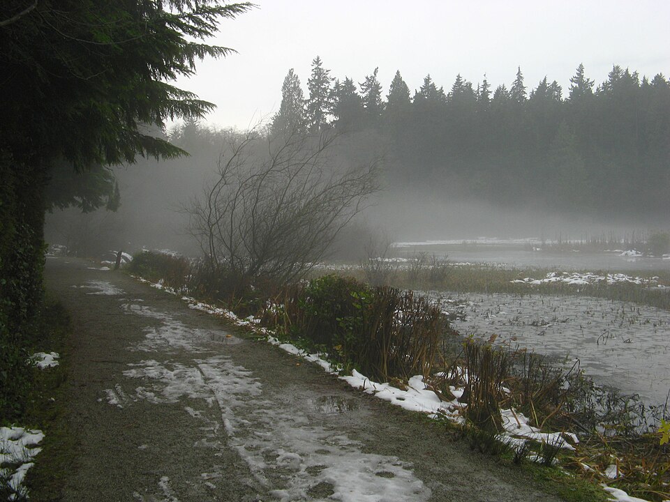 960px-Fog_Lake.jpg