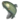 Rainbow trout transparent.png