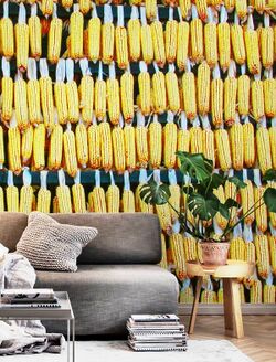 File:Wall of corn.jpg