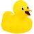 It is a duck.jpg