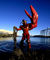 Lobsterdude.jpg