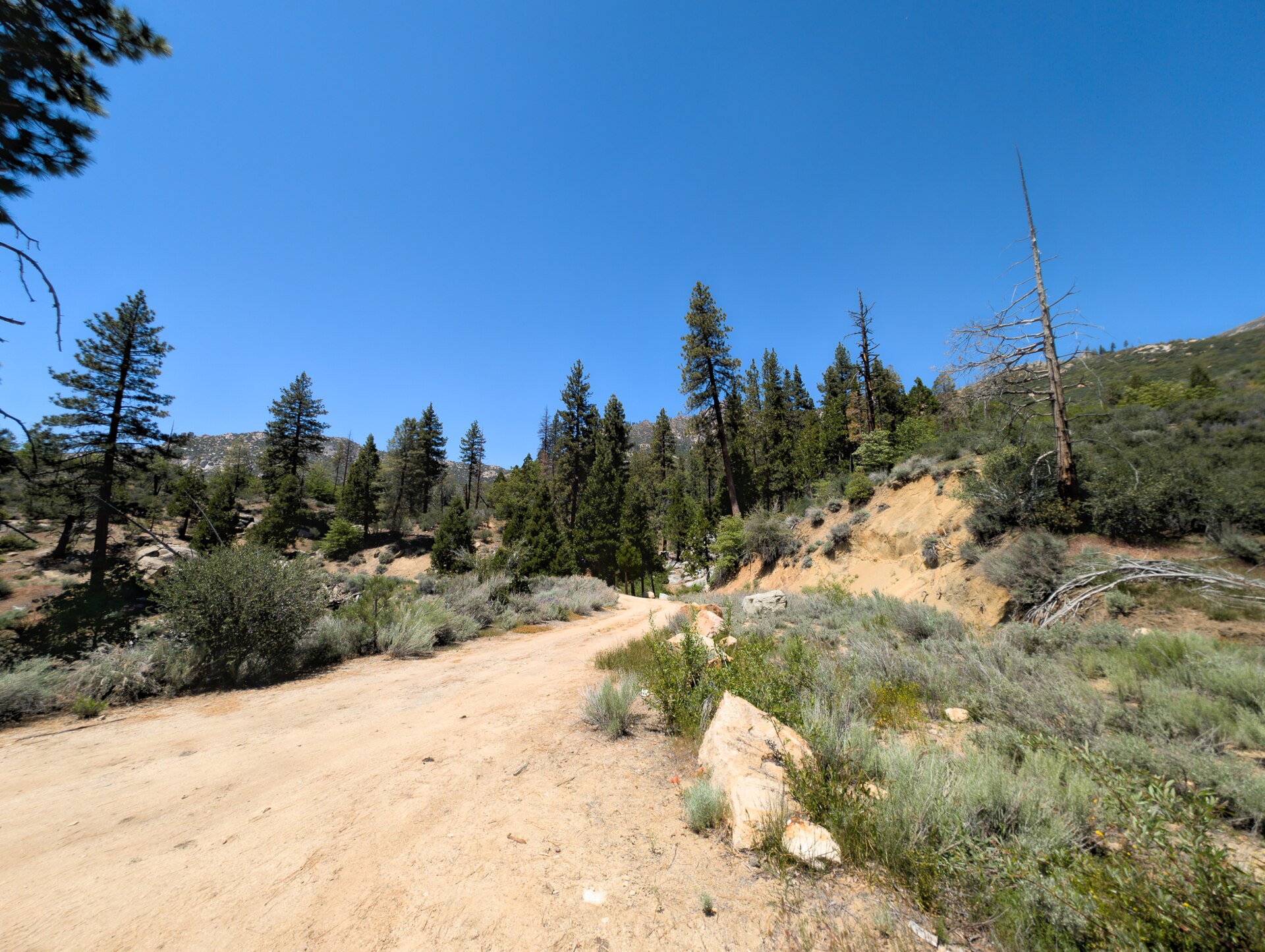 Sequoia National Forest - 53789204646.jpg