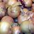 Onions.jpg