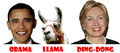 Obama Llama! YAY!