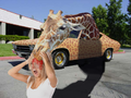 Drive-by Giraffing is on the rise.