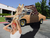 Driveby-giraffe.png